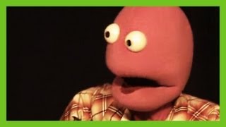 Randy - funny puppet stand up comedy and interview | ComComedy