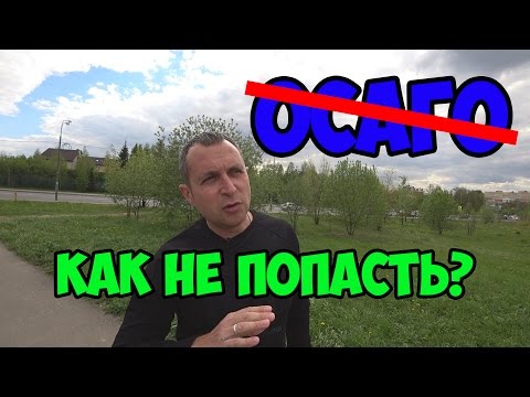 Как узнать настоящий ли полис осаго