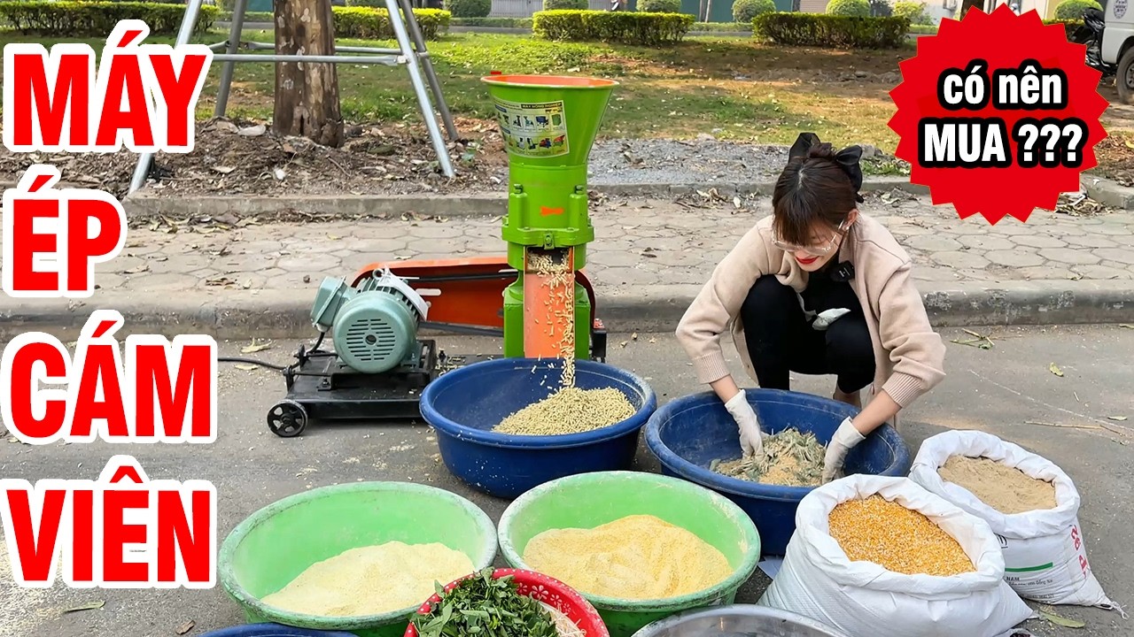 🎯 Tại Sao Máy Ép Cám Viên S200 4 Quả Lô Lại HOT và BÁN CHẠY Đến Thế?