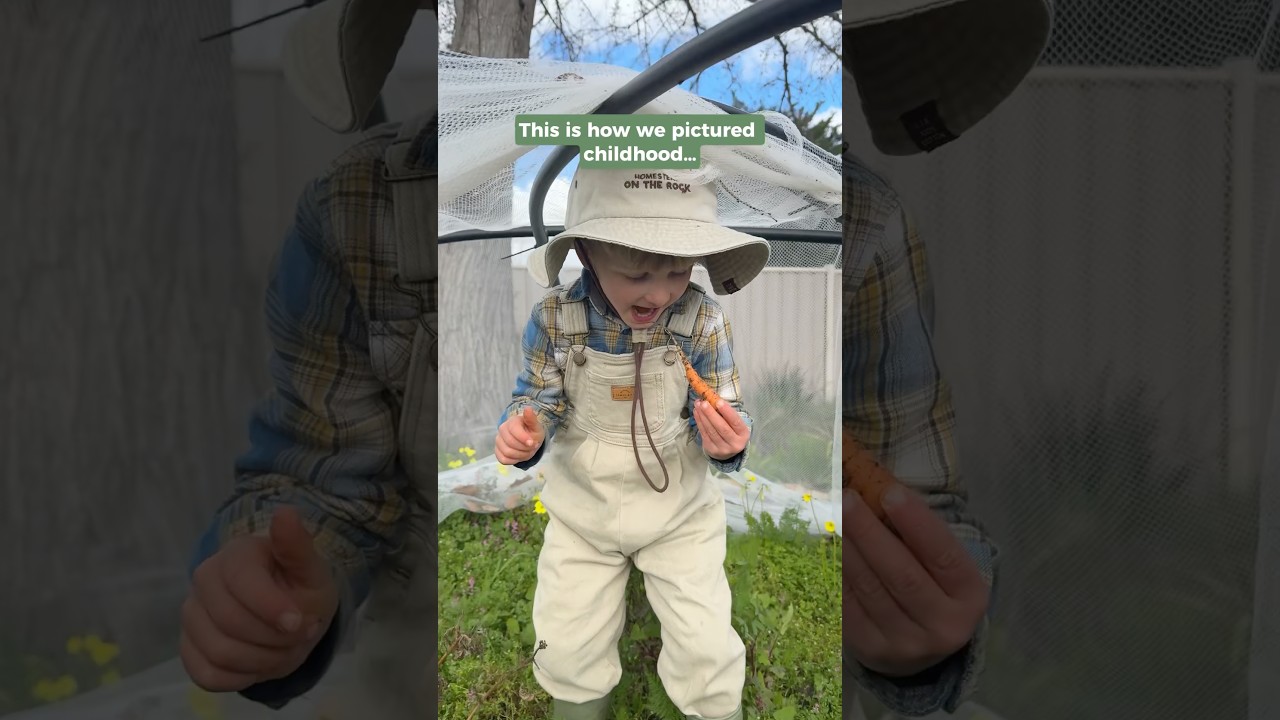 FREE SEEDS FOR YOUR CHILDREN 🌱 #heirloomseeds #diggersclub #springgarden #australia