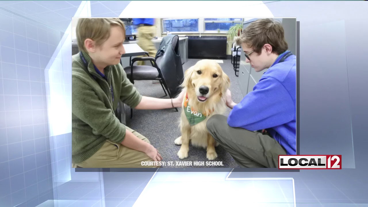 St. Xavier High School welcomes therapy dog to help students with stress, anxiety