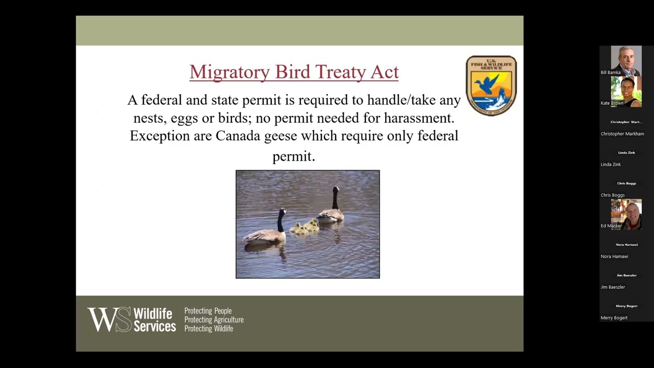 Homesteading Academy: How to Prevent Wildlife Damage - Wildlife Management for Homeowners