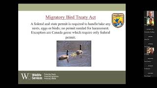 Homesteading Academy: How to Prevent Wildlife Damage - Wildlife Management for Homeowners