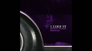 Alesso & Nate Smith - I Like It (Binary Bloom Bootleg)