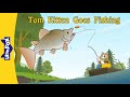 The tale of tom kitten full story  playful kitten tom  silly jeremy fisher  little fox