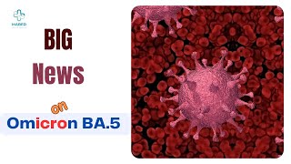 Understanding Omicron BA 5 The Dominant COVID 19 Strain in the US