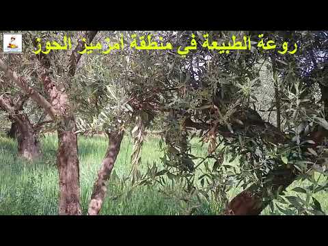 جديد تفويجة غزالة في طبيعة اقيليم امزميز #جولة