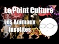 Point Culture : les Pokemon de la vraie vie Whatsapp Status Video Download Free