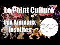 Point culture  les pokemon de la vraie vie