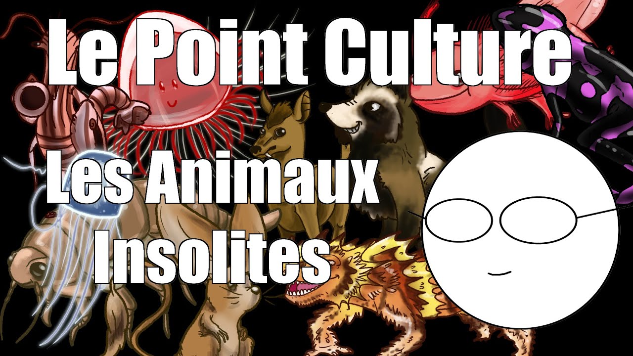 Point Culture : les Pokemon de la vraie vie