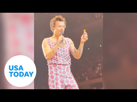 Fan throws chicken nuggets to Harry Styles | USA TODAY