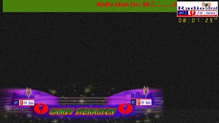 Radio Ideal screenshot 4