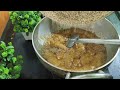 Tilgul chikki