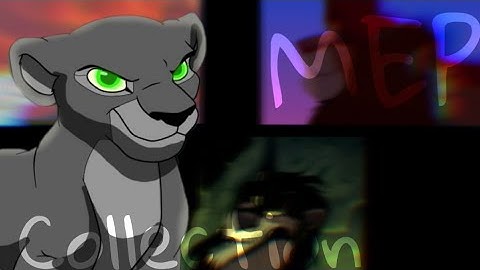 Animash : MEP ~ Collection