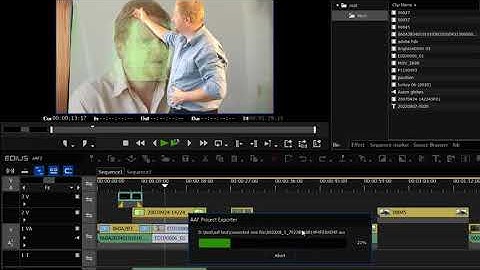 Exporteer uw EDIUS-tijdlijn voor bewerking in een ander programma met AAF