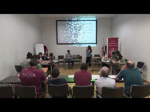 2019 ახალგაზრდა ფიზიკოსთა ტურნირი, Stage II, 18 მაისი