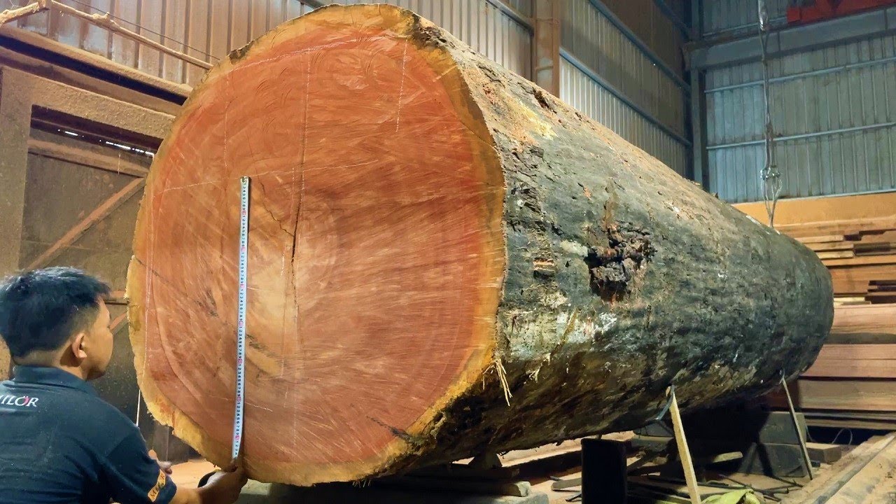 Amazing Sawmill Machines Working - Extreme Wood Cutting Sawmill ...