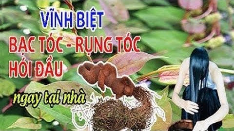 Cam kết hiệu quả Rụng Tóc, Bạc Tóc, Hói Đầu sau 14 ngày. Gọi ngay hotline 0914.304.260