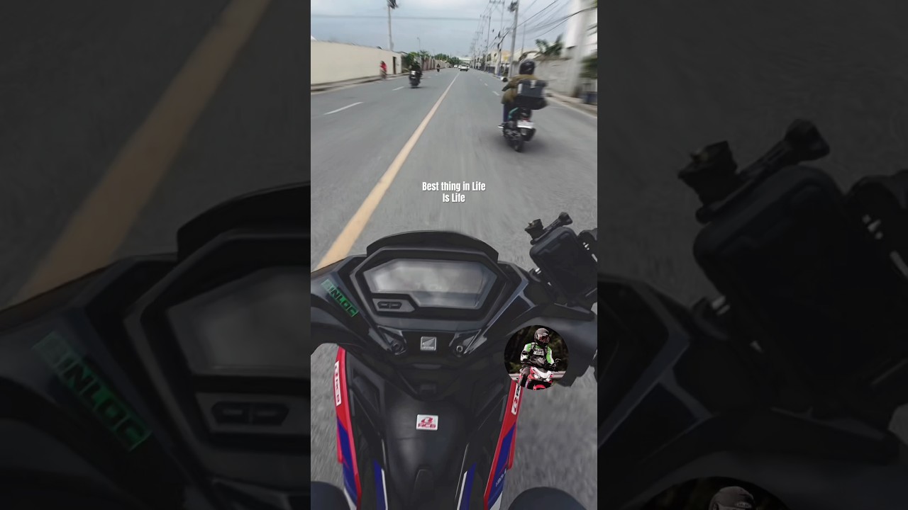 Самое лучшее в жизни — это сама жизнь 