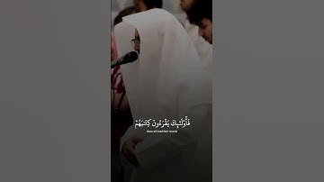 بعض من تلاوة الشيخ ناصر القطامي