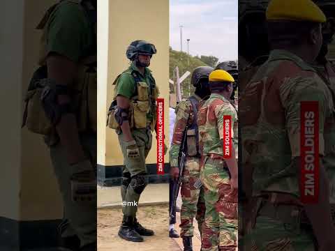 The BEST Vanamukoma Muku Zanupf 