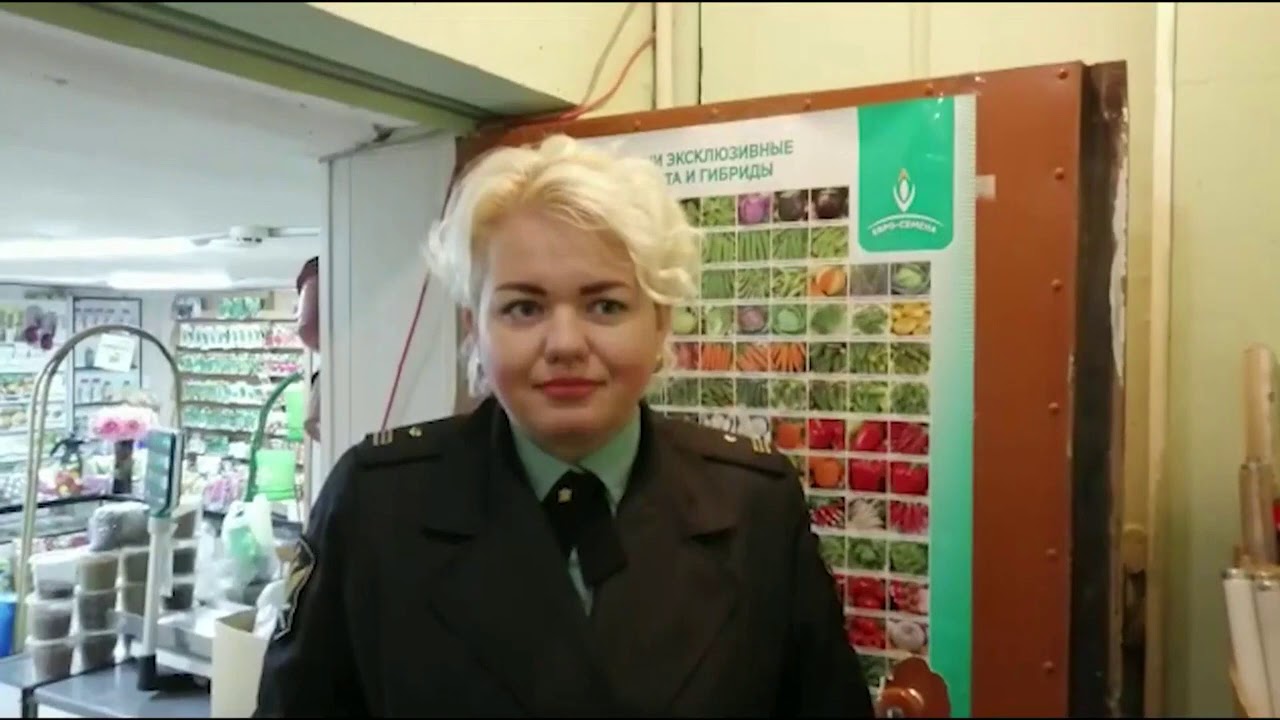 Директор Магазина Ярославль