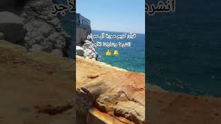 #egzonibrahimi#قران_كريم#قرآن#قرآن_كريم#اكسبلور#الرحمن#المصحف#لايك# #متابعه#v##سوريا#السعودية