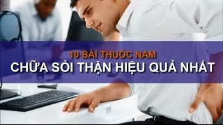 Cách chữa sỏi thận bằng cây nhà lá vườn cực hay