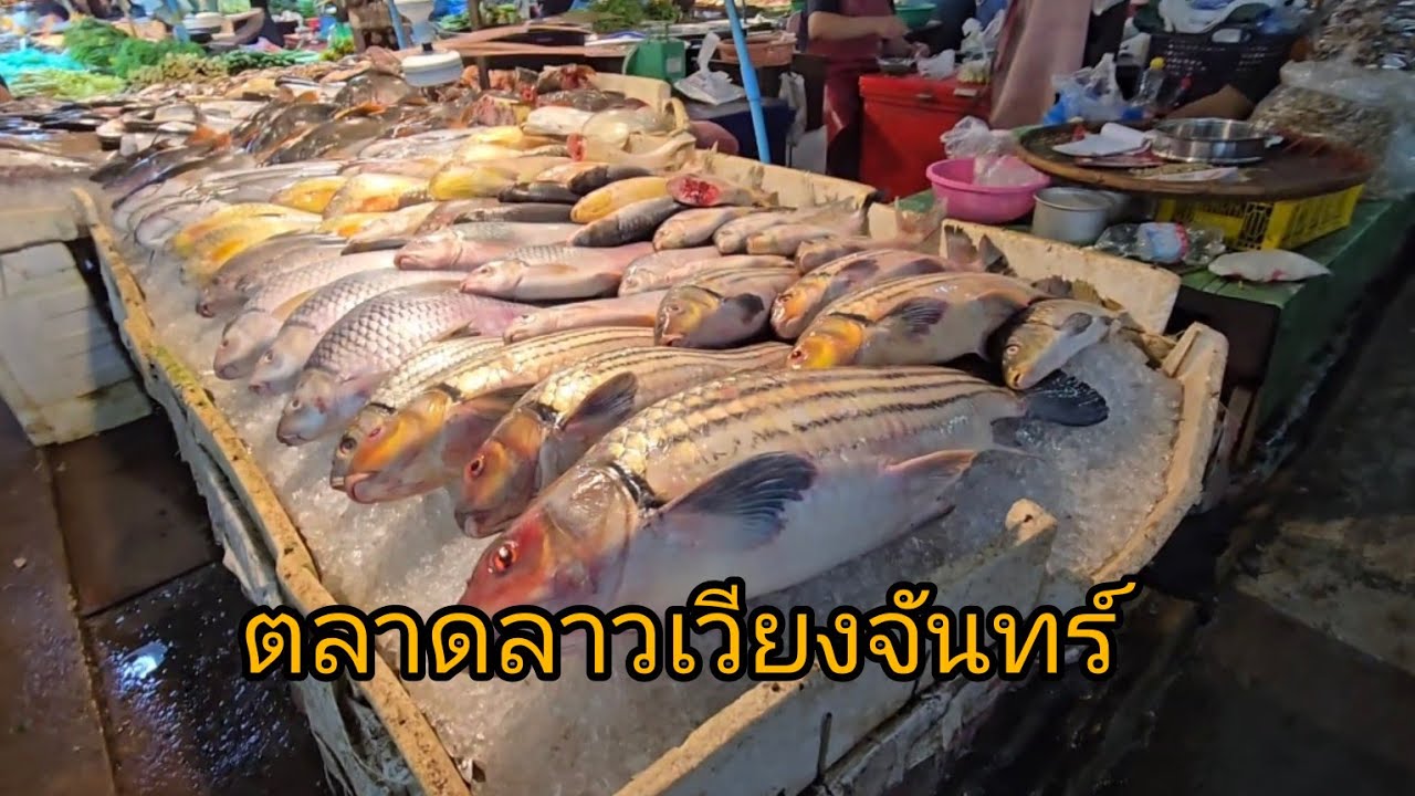 #food ตลาดลาว #เวียงจันทร์ รวมอาหารที่เมืองในลาวมาใว้ที่นี่ มีอาหารตามฤดูกาล มากมาย #ลาว #สปปลาว