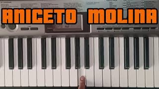 Video thumbnail of "LA CAMPANERA - PIANO CUMBIA ;) - {ANICETO MOLINA}"