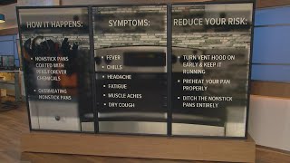 'Teflon Flu' linked to chemical coating on some popular nonstick pans