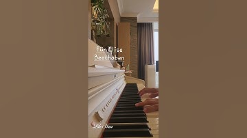 Thumbnail of Für Elise - Beethoven#piano #music #cover #fürelise #song