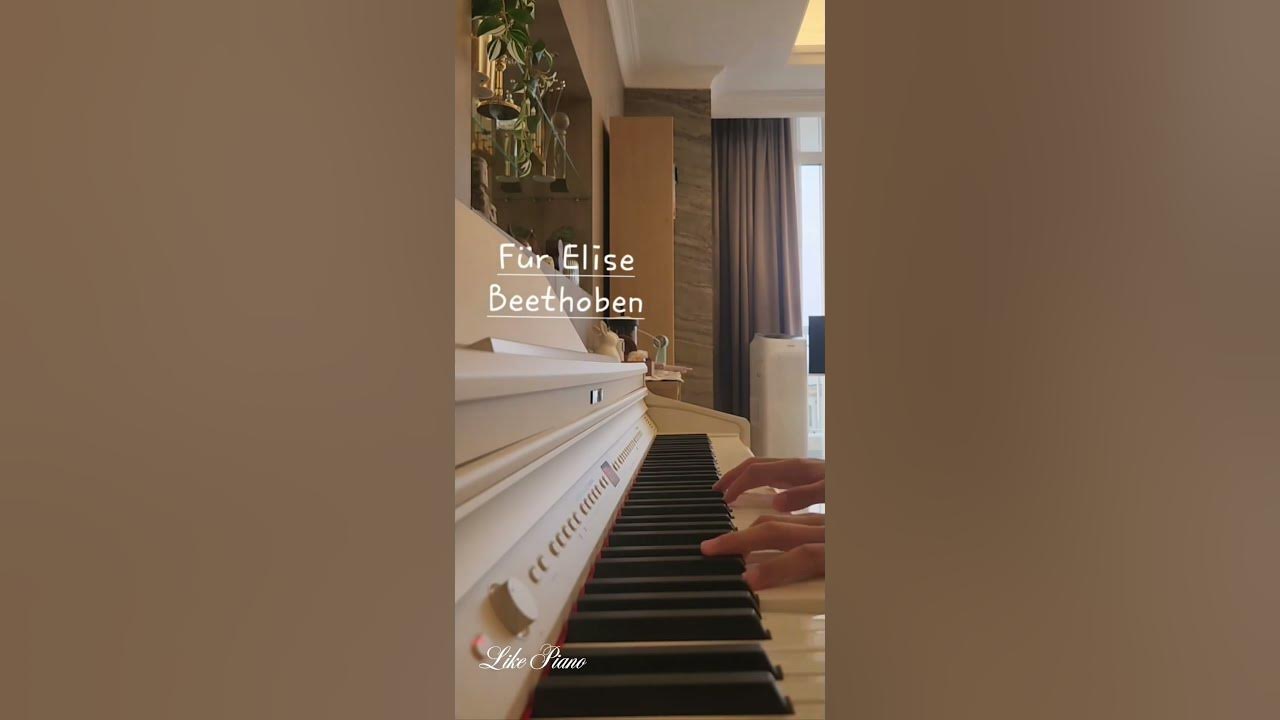 Für Elise - Beethoven#piano #music #cover #fürelise #song
