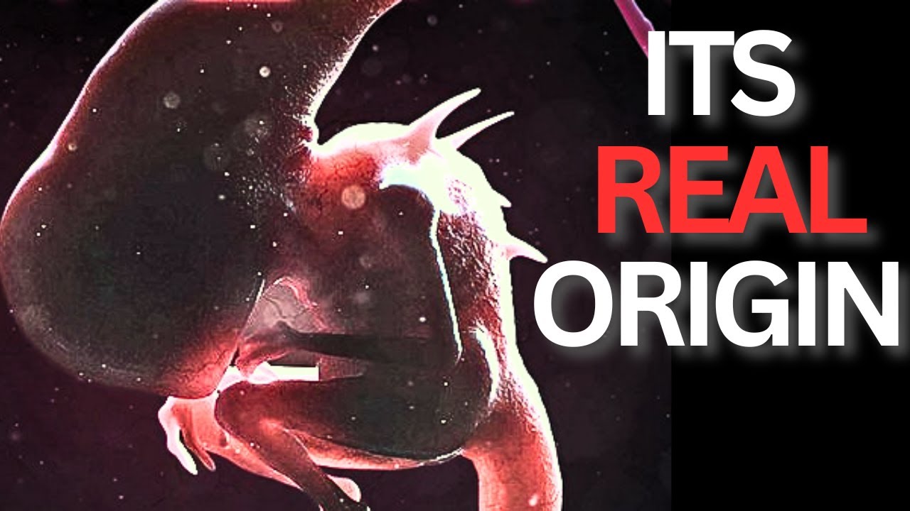 The Xenomorph’s REAL Origin Was SO DISTURBING… Ridley Scott HID It ...