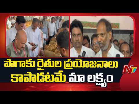 Minister Gottipati Ravi Kumar Visits Maddipadu Vellampalli Tobacco Auction Centre | NTV Telugu - NTVTELUGU