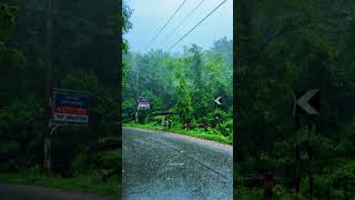 পুরুষ সস্তা নয় দায়িত্বশীল🙂 #RainVibes #naturelovers #foryoupage #fyp #reels #youtube