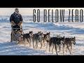 Origins in the Ice: The Ancient Partnership Between Humans and Sled Dogs