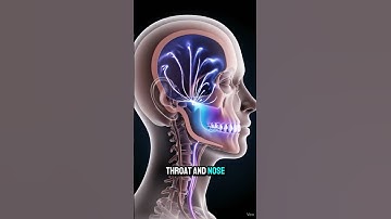 Waarom maakt helium je stem zo hoog? #shorts