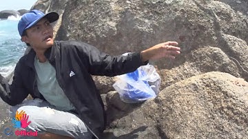 Sư tổ bộ môn câu cá dìa  hướng dẫn câu cá đối và cái kết @@