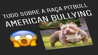 tudo sobre a raça PITBULL AMERICAN BULLYING