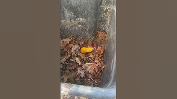 Winter Composting using a trash can