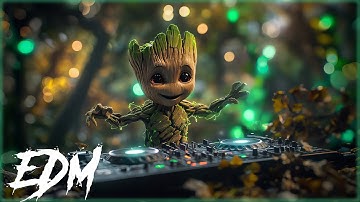 HOT SPOTIFY PLAYLIST 2024 - BEST EDM SONGS OF ALL TIME - MOST POPULAR EDM MUSIC PLAYLIST