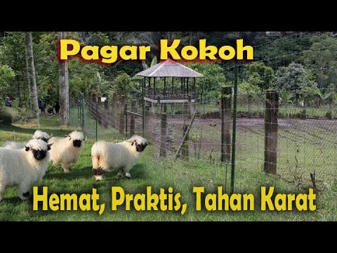 Pagar kawat khusus peternakan kambing domba sapi kerbau rusa kuda, Hemat dan Kuat