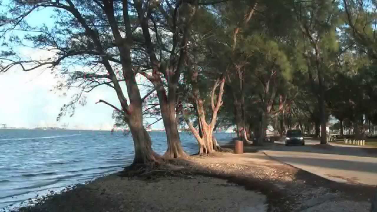 Auto Glass Repair Charlotte NC Windshield Replacement YouTube