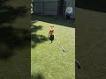 Chia's got the zoomies! (Chia, Loblolly, Jewel, Twuck)