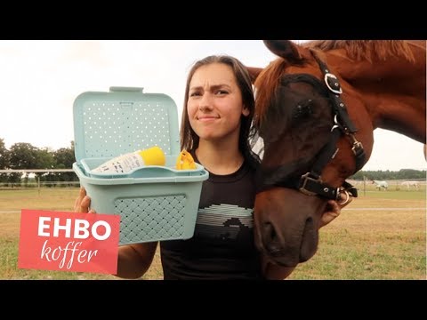 Video: 10 Dingen Die Je Nodig Hebt In Je EHBO-kit Voor Huisdieren
