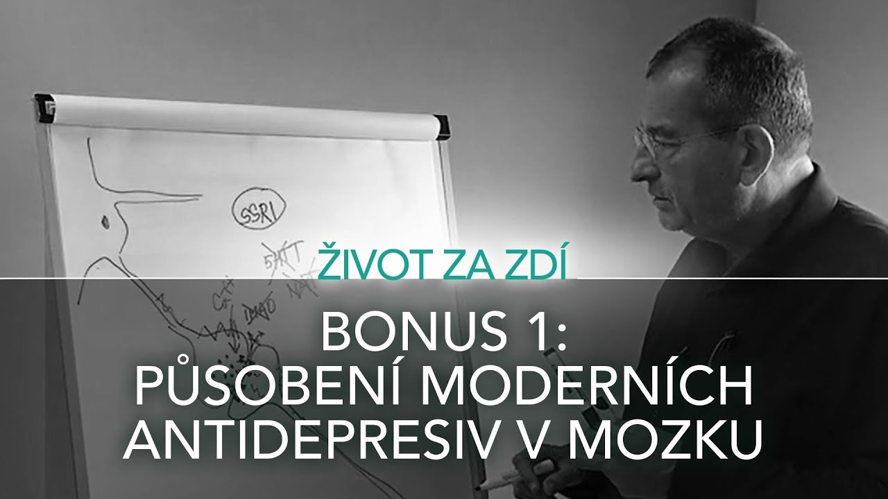 BONUS 1: PŮSOBENÍ MODERNÍCH ANTIDEPRESIV V MOZKU