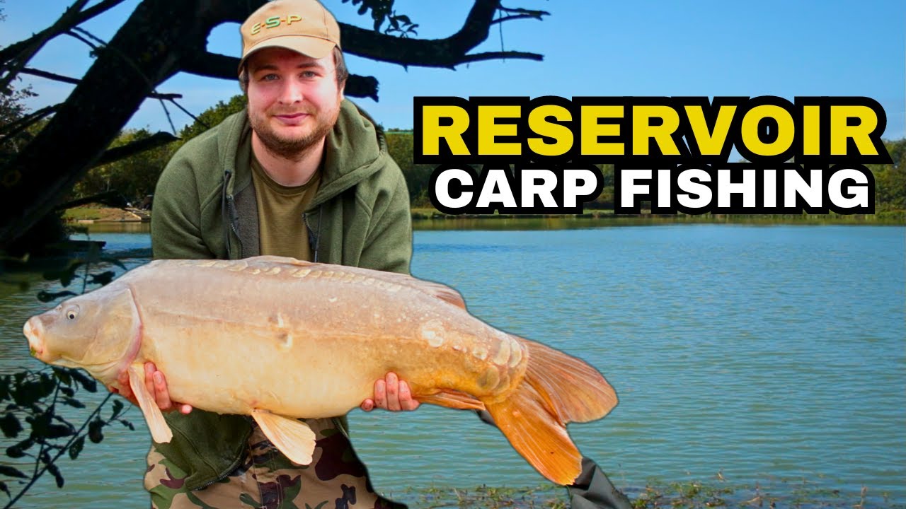 **RESERVOIR CARP FISHING**Day Only Fishing ꟾ September 2020 YouTube