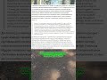КИТАЙСКИЕ ЛИФТЫ В РОССИИ? ЧТО ПОШЛО НЕ ТАК С “СВОИМ ПРОИЗВОДСТВОМ” #shorts #россия2026