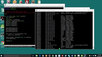 Buffer overrun - Precept Video